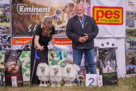 Skupina Dorly Snowflake Fell Harrington, Diadem a Jutta